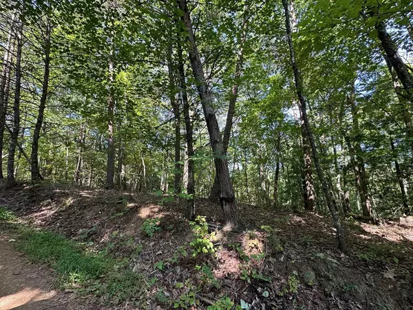 Mineral Bluff, GA 30559,Lot 5 Bear Mountain Pass