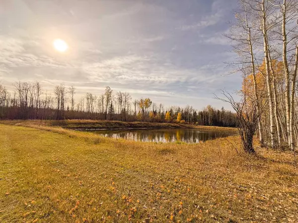 Rural Saddle Hills County, AB T0H 0H0,NW-20-79-8-W6 794 Township