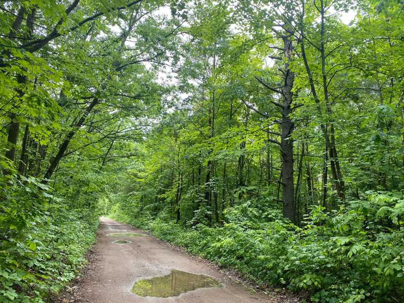 Address Not Disclosed