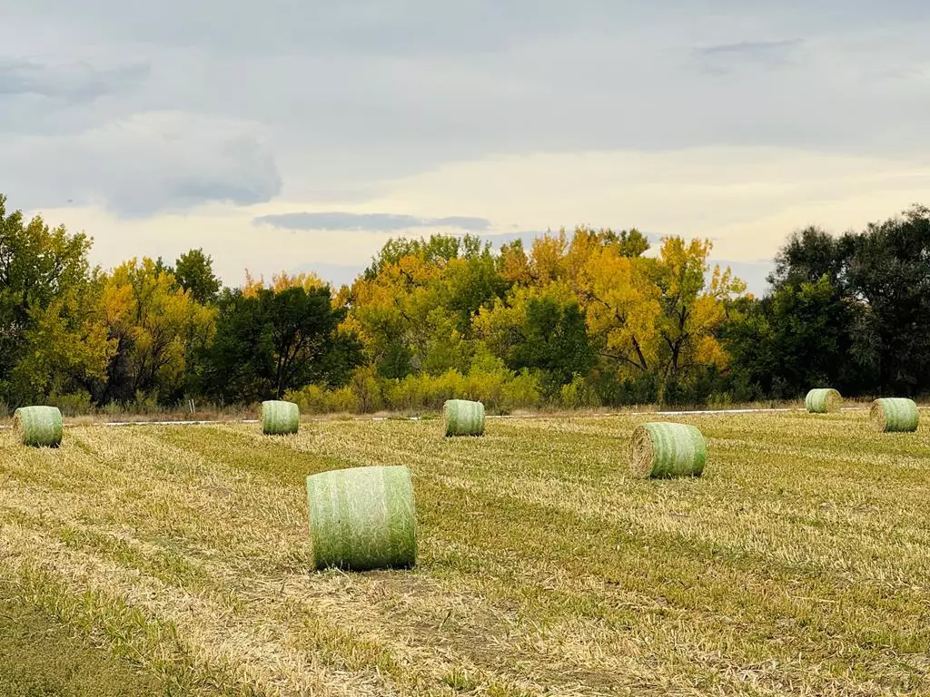 Pueblo, CO 81006,TBD Daniel Rd