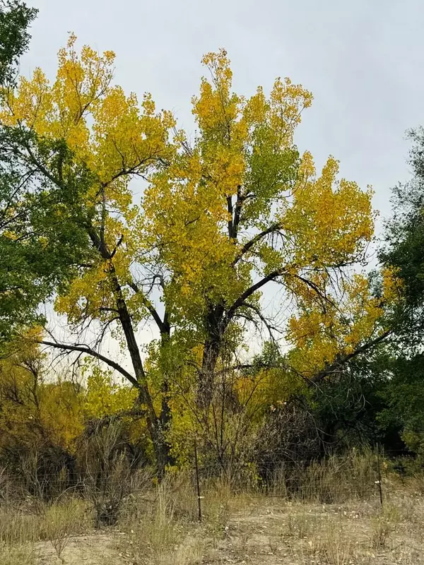 Pueblo, CO 81006,TBD Daniel Rd