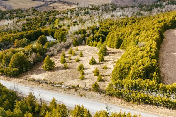 Kawartha Lakes, ON K0L 2W0,PT LT 3 Hayes Line