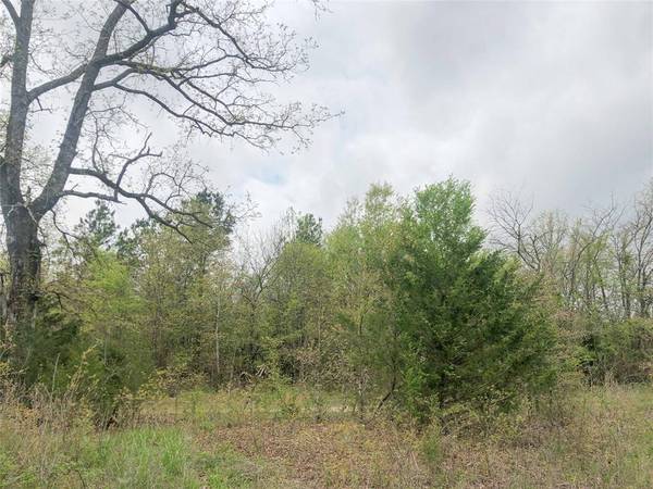 Avery, TX 75554,00 County Road 4640