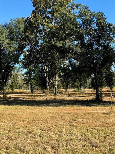 000 Locust Hill Road #Lot # 4, Greenwood, LA 71033