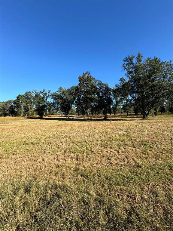 Greenwood, LA 71033,000 Locust Hill Road #Lot # 4