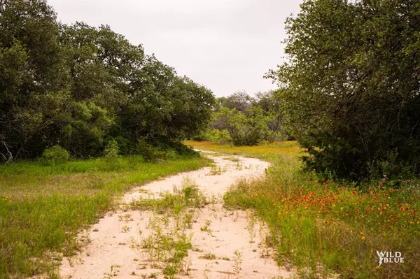 tbd Highway 377 Us-377 #377, Blanket, TX 76432