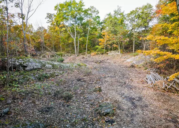 Georgian Bay, ON L0K 1S0,87 Corrievale RD #LOT A