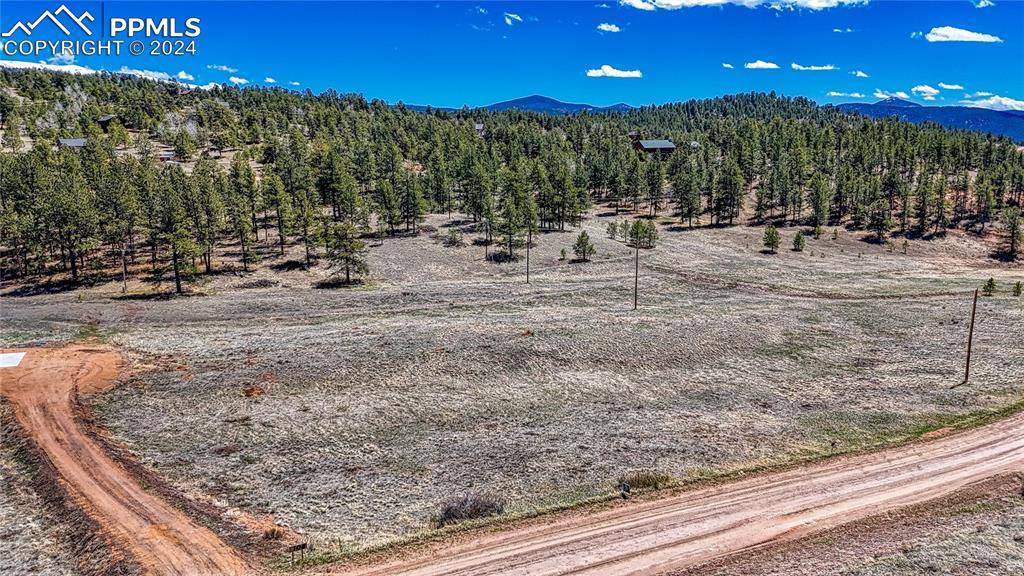 150 High Pasture RD, Florissant, CO 80816