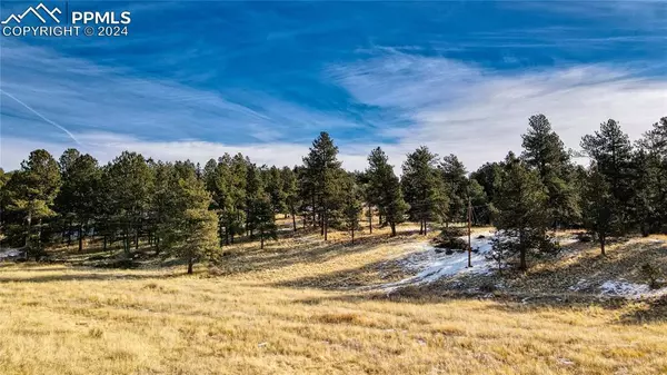 Florissant, CO 80816,150 High Pasture RD