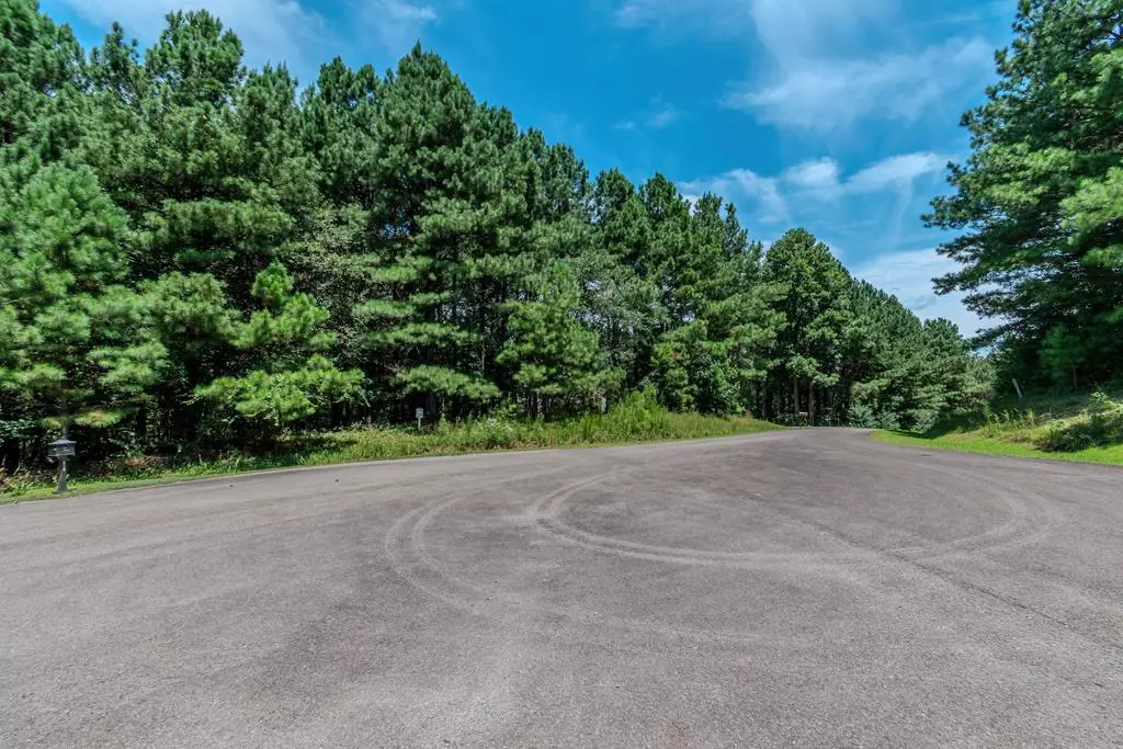 Ellijay, GA 30536,Lot 26 Foxpaw Leaf Lane