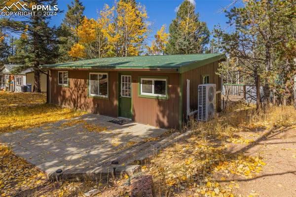 Woodland Park, CO 80863,53 Iris RD