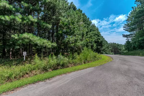 Ellijay, GA 30536,Lot 26 Foxpaw Leaf Lane