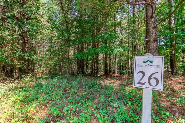 Ellijay, GA 30536,Lot 26 Foxpaw Leaf Lane