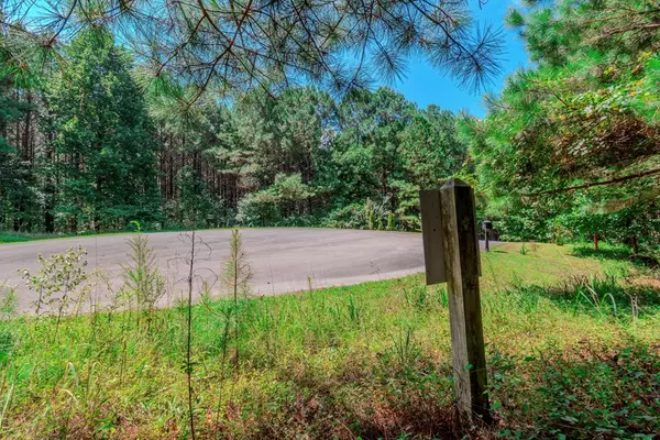 Ellijay, GA 30536,Lot 26 Foxpaw Leaf Lane