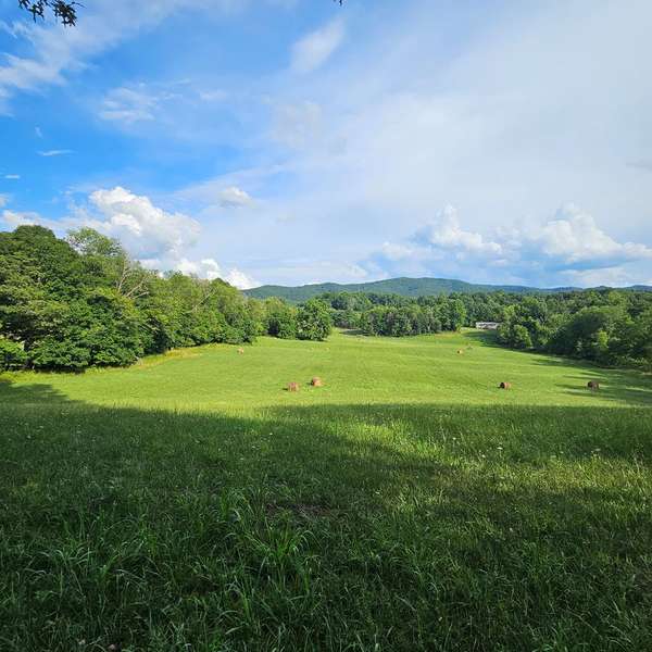 0000 TBD Widener Valley Road, Glade Spring, VA 24340