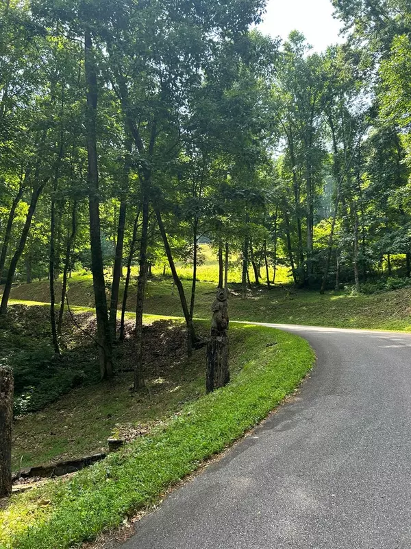 Young Harris, GA 30582,Lot64&65 Rocky Knob Estates