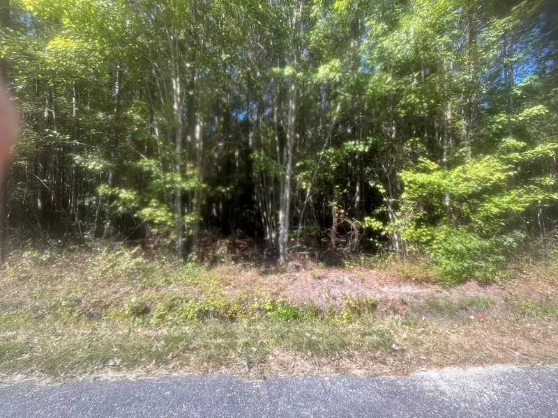 lot 245 Blundon RD, Reedville, VA 22539