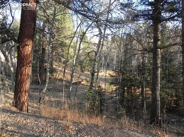 Florissant, CO 80816,430 Pinon LN