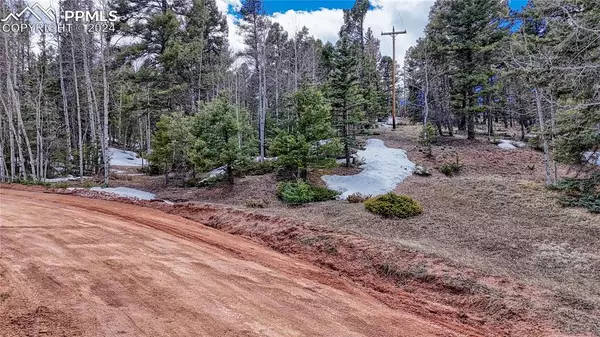 Florissant, CO 80816,244 Spring Valley LN