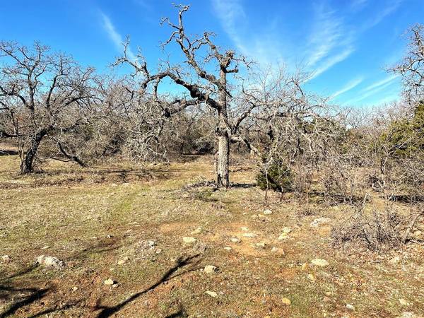 Gordon, TX 76453,E49R Arts Way