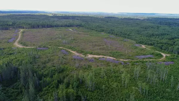 Timiskaming Remote Area, ON P0J 1H0,Lot 5 Con 3