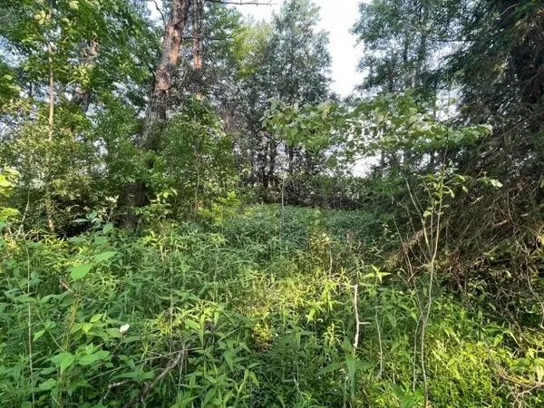 East Luther Grand Valley, ON L9W 0H2,Lot 22 21-22 Side Road N