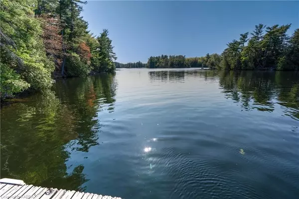 Rideau Lakes, ON K0G 1X0,1 SCOTT ISLAND RD