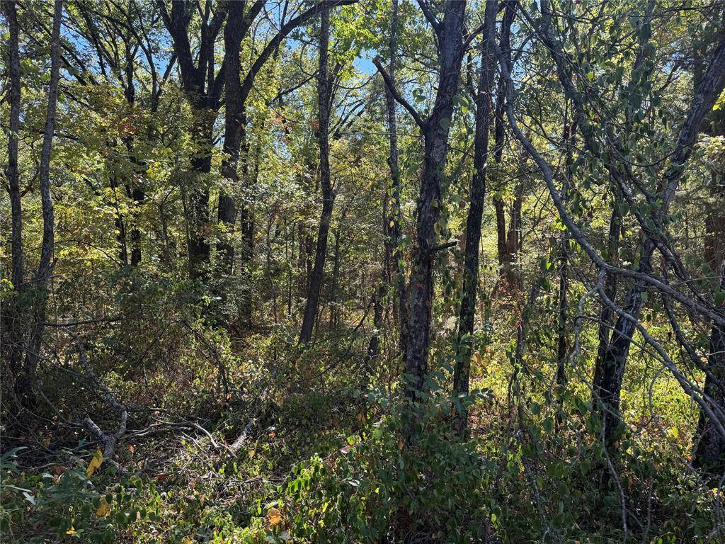 Payne Springs, TX 75156,Lot 401 Cordoba Street