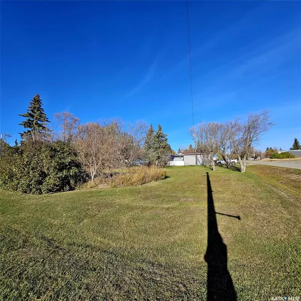 Spy Hill, SK S0A 3W0,608 1st AVENUE