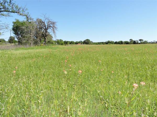 Mabank, TX 75147,1829 Vz County Road 2311