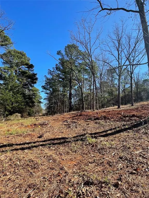 Winona, TX 75750,Lot 2 County Road 353