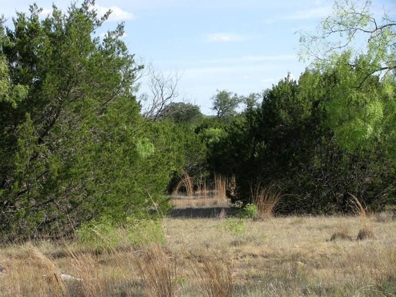 Lot 20 Ph 4 Pr 42126, Evant, TX 76525