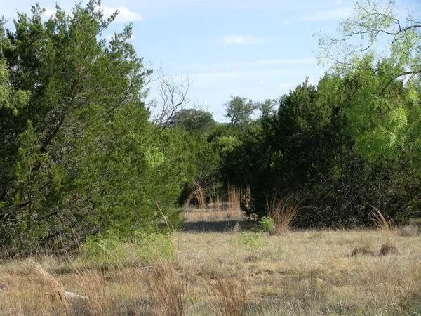 Lot 20 Ph 4 Pr 42126, Evant, TX 76525