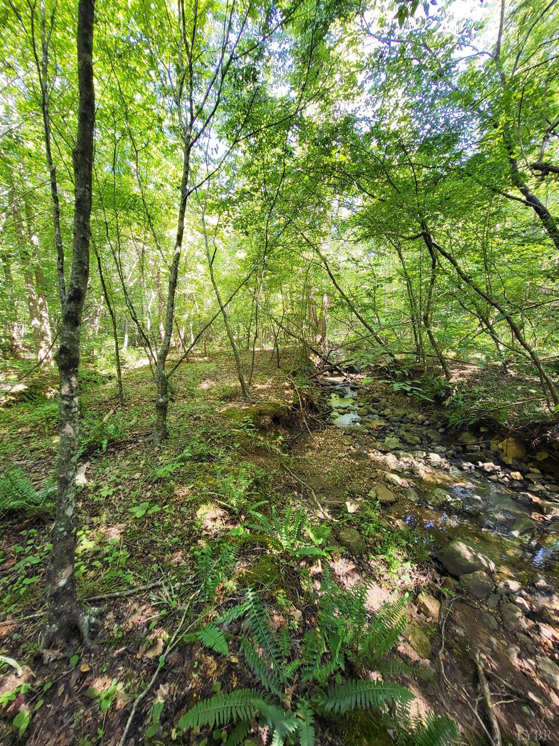 664 Jenny Ln, Spout Spring, VA 24593
