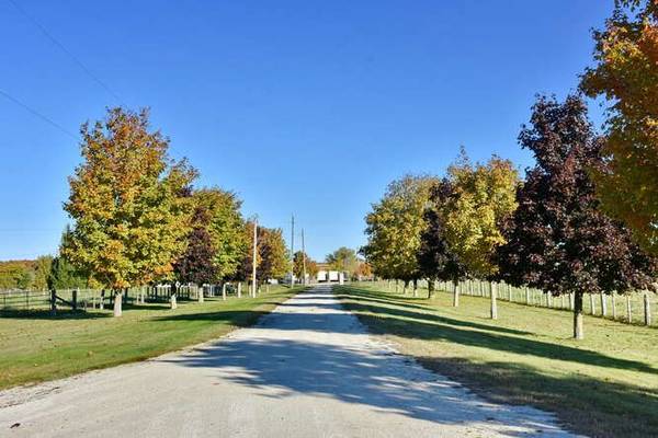 Grey Highlands, ON N0C 1E0,427520 8th Concession A N/A