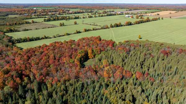 Grey Highlands, ON N0C 1E0,Lot 9 8th Concession A N/A