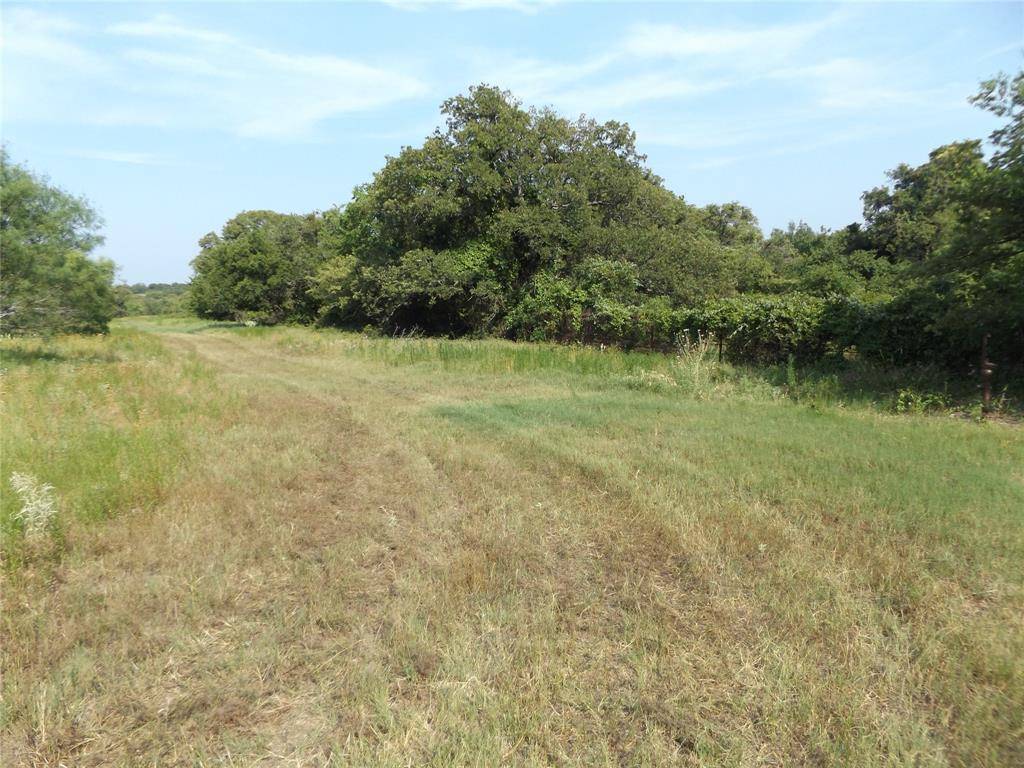 Perrin, TX 76486,Lot  8 Wilson Road
