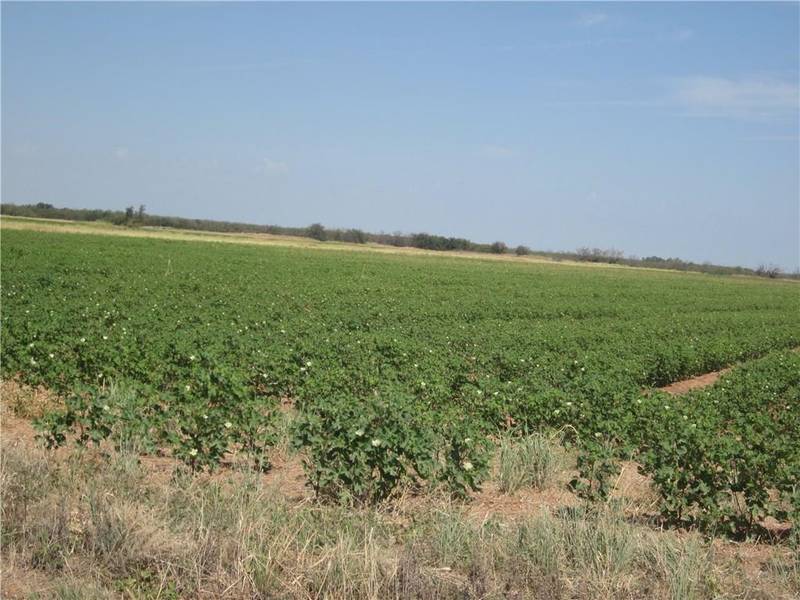 TBD CR 182, Hamlin, TX 79520