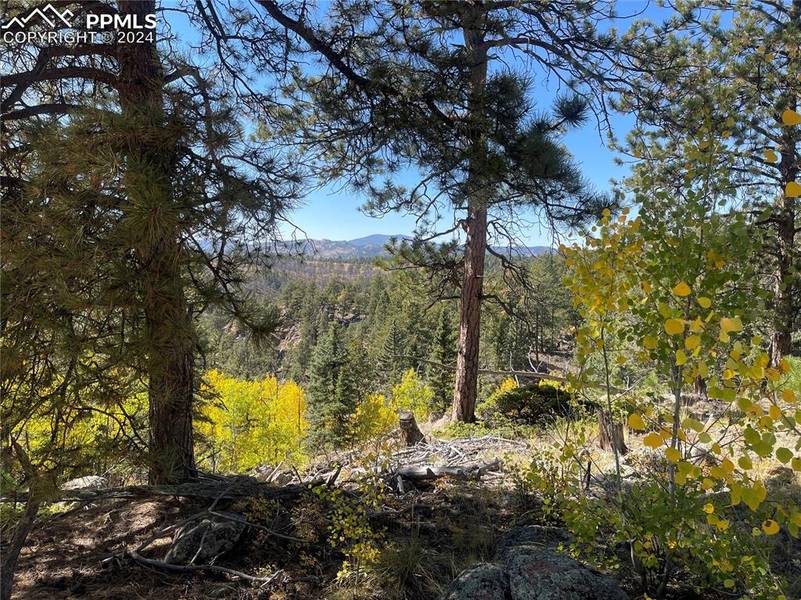 3203 Highland Meadows DR, Florissant, CO 80816