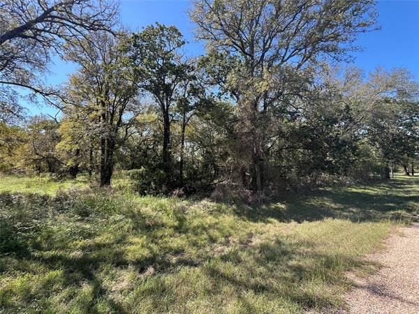 Whitney, TX 76692,1350 Sandrock Trail