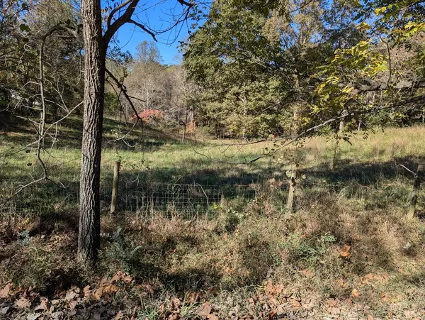 Mineral Bluff, GA 30559,125 Haymore Farm Road