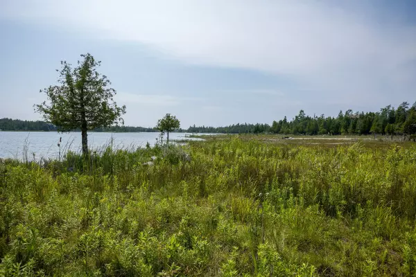 Northern Bruce Peninsula, ON N0H 2R0,LOT 80 Dorcas Bay RD