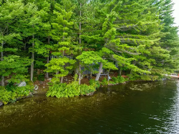 Muskoka Lakes, ON P0B 1J0,2797 Muskoka Road 169 RD S