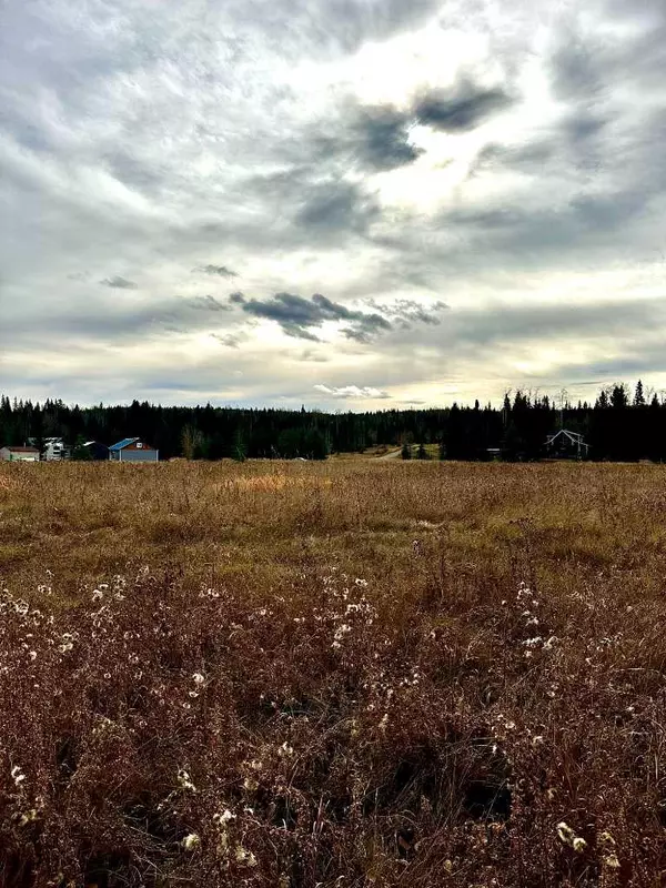 120 James River LNDG, Rural Clearwater County, AB T0M1C0