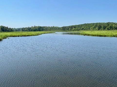 Lot 3 Tidewater TRL, Caret, VA 22436