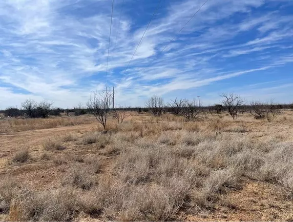 0 Ranch Road 2183, Colorado City, TX 79511