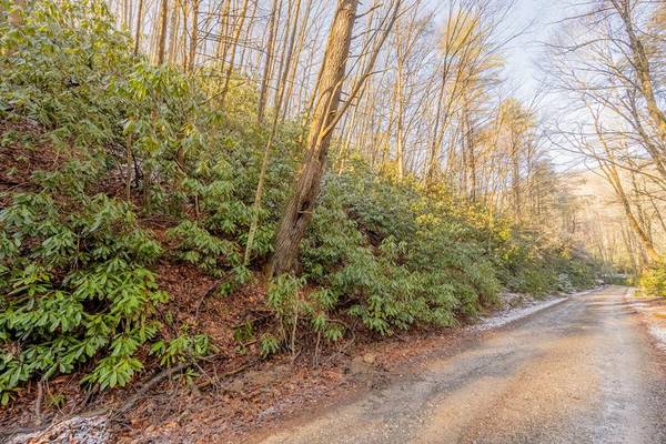 Lot 9 Wyrick Trl., Bland, VA 24315