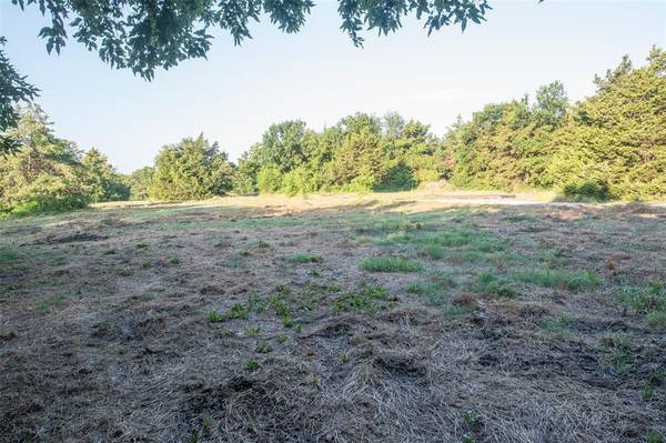 Fairview, TX 75069,TBD Lot 2 Orr Road