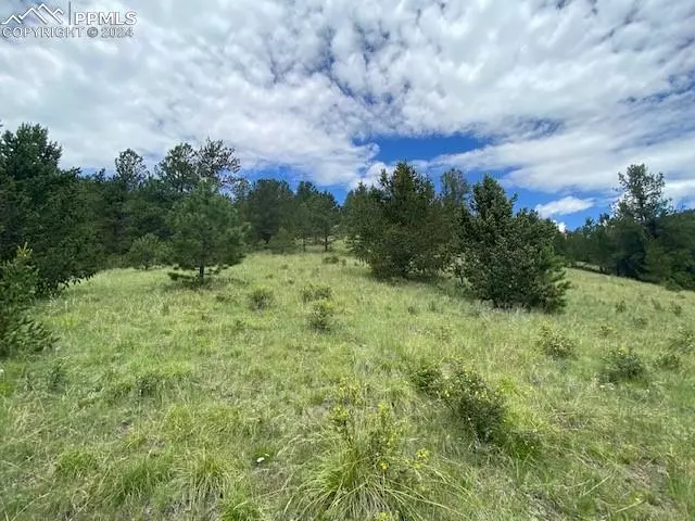 County Road 8, Victor, CO 80860