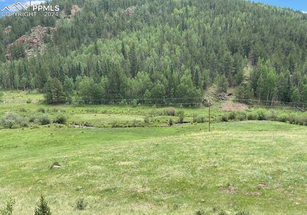 Victor, CO 80860,County Road 8
